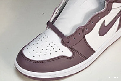 High “Mauve” DZ5485-105 Jordan OG 1 1113